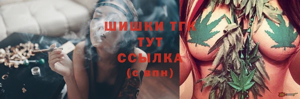 бошки Арсеньев