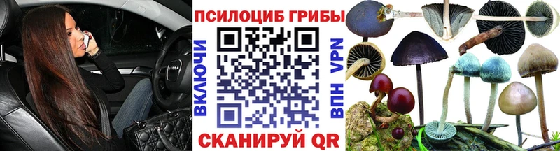 гидра ССЫЛКА  Северо-Курильск  Галлюциногенные грибы Cubensis 
